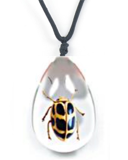Insect Spotted Leaf Beetle Clear Necklace by World of Insects - SD0726