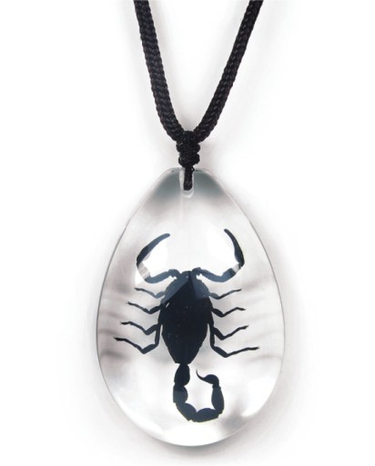 Insect Black Scorpion Clear Necklace by World of Insects - SD0791