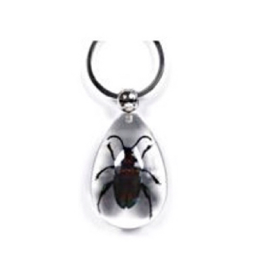 Insect Jewel Frog Beetle Clear Keyring by World of Insects - SK0911