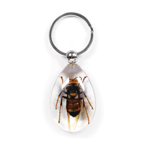 Insect Wasp Clear Keyring by World of Insects - SK0930