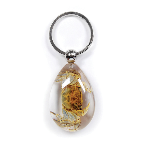 Insect Crab Clear Keyring by World of Insects - SK0939