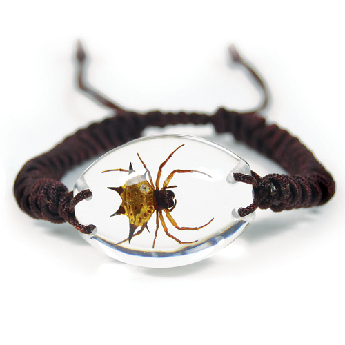 Insect Spiny Spider Clear Bracelet by World of Insects - SL1405