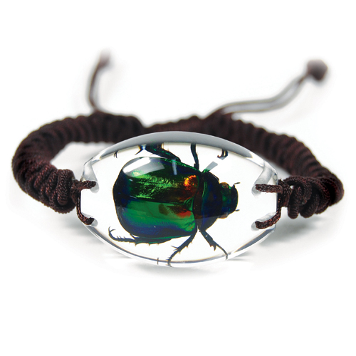 Insect Rutelian Beetle Clear Bracelet by World of Insects - SL1432