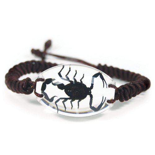 Insect Black Scorpion Clear Bracelet by World of Insects - SL1491