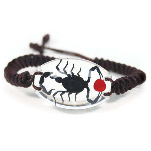 Insect Lucky Bean & Black Scorpion Clear Bracelet by World of Insects - SL1494