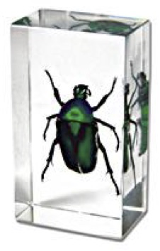 Insect Green Rose Chafer Beetle Paperweight (Small) by World of Insects - ST3252