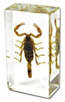 Insect Scorpion Paperweight (Small) by World of Insects - ST3254