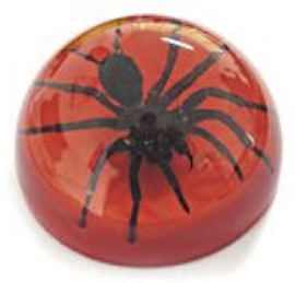 Insect Tarantula Dome Paperweight (Red) by World of Insects - TC0613