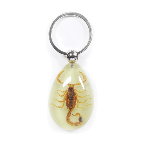 Insect Scorpion Glow Keyring by World of Insects - YK0901