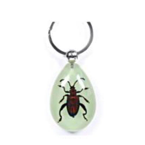 Insect Jewel Frog Beetle Glow Keyring by World of Insects - YK0911