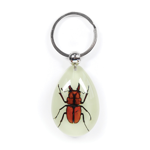 Insect Golden Stag Beetle Glow Keyring by World of Insects - YK0913