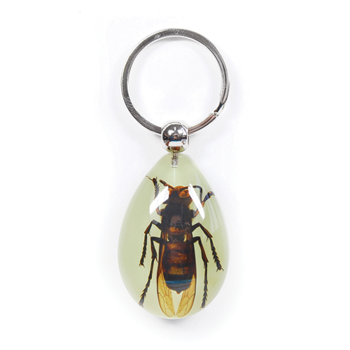 Insect Wasp Glow Keyring by World of Insects - YK0930