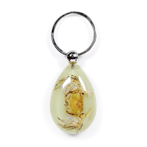 Insect Crab Glow Keyring by World of Insects - YK0939