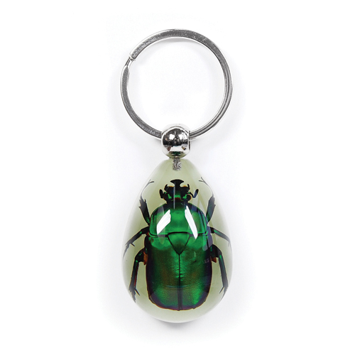 Insect Green Rose Chafer Beetle Glow Keyring by World of Insects - YK0941