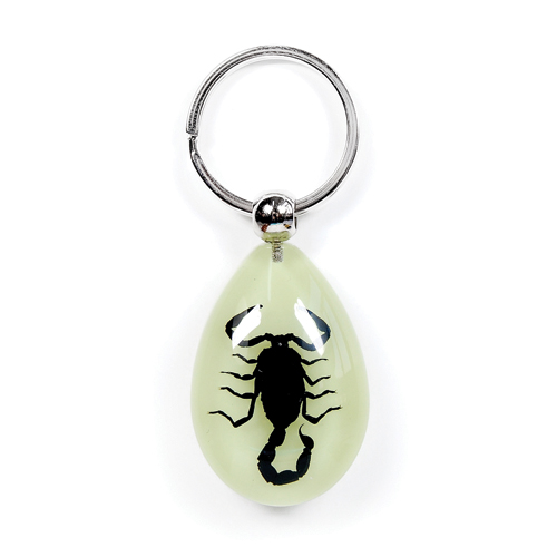 Insect Black Scorpion Glow Keyring by World of Insects - YK0991