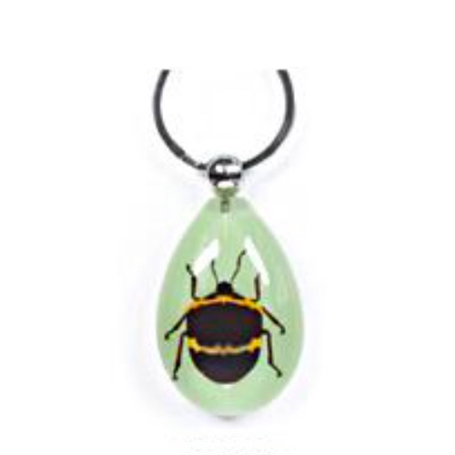 Insect Black Tea Seed Bug Glow Keyring by World of Insects - YK0995