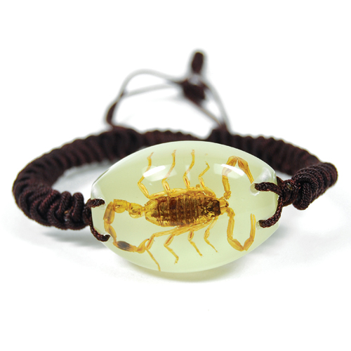 Insect Scorpion Glow Bracelet by World of Insects - YL1401
