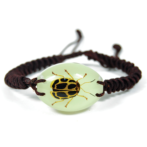 Insect Spotted Leaf Beetle Glow Bracelet by World of Insects - YL1426