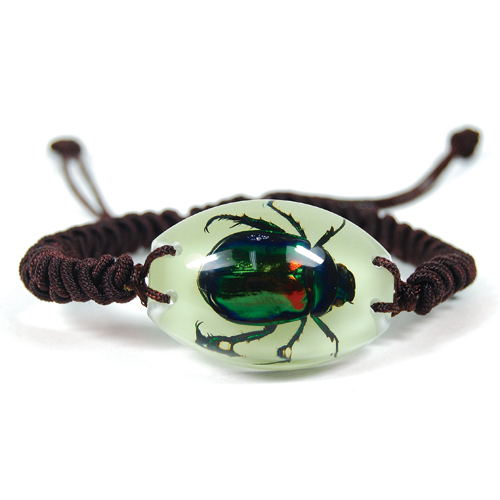 Insect Rutelian Beetle Glow Bracelet by World of Insects - YL1432