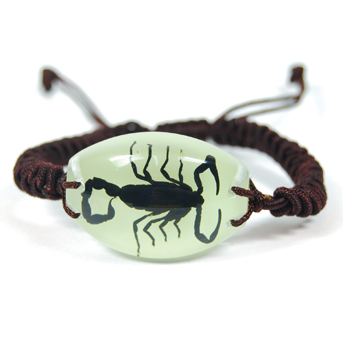 Insect Black Scorpion Glow Bracelet by World of Insects - YL1491