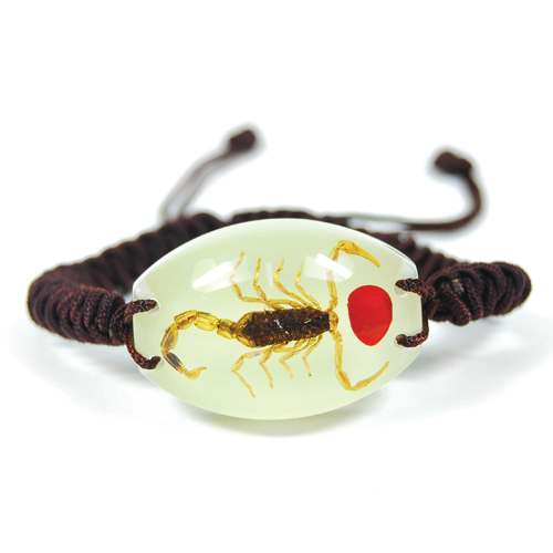 Insect Lucky Bean & Scorpion Glow Bracelet by World of Insects - YL1492