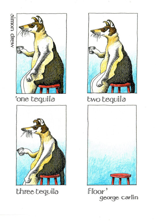 Tequila Greetings Card by Simon Drew - 412