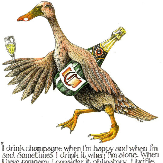 Simon Drew Designs - 595 - I Drink Champagne Greetings Card