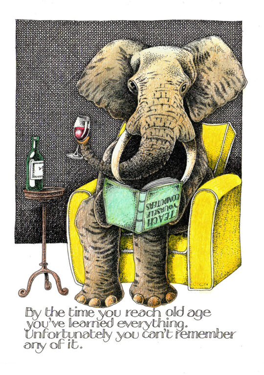 Old Elephant Greetings Card by Simon Drew - 717