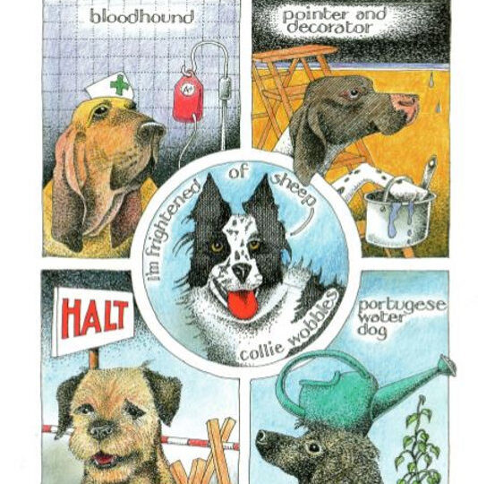 Simon Drew Designs - 811 - Dog Breeds Greetings Card