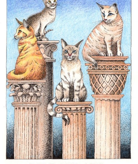 Simon Drew Designs - 854 - Cat-O-Pillars Greetings Card