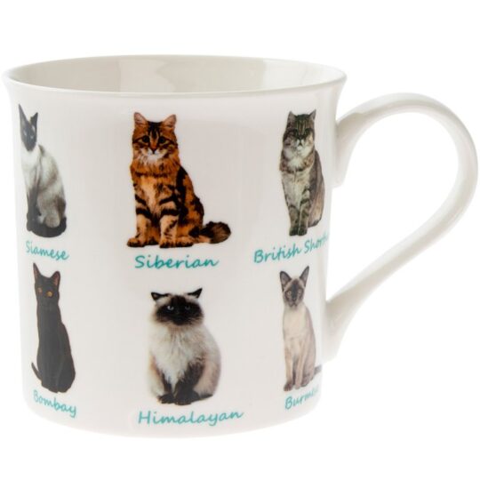 Collection Cats China Mug from The Leonardo Collection - LP92873