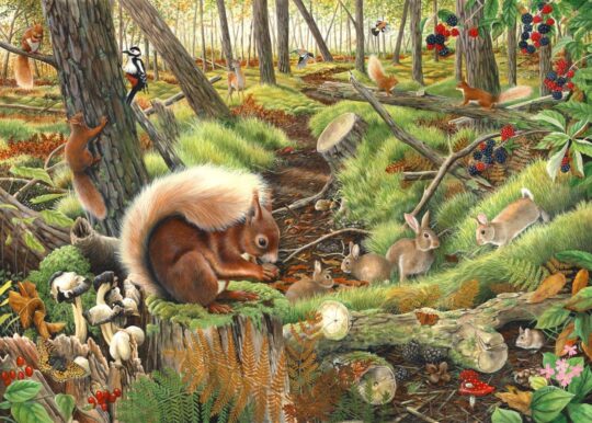 Save Our Squirrels 1000 Piece Jigsaw Puzzle by House of Puzzles - HOP0067