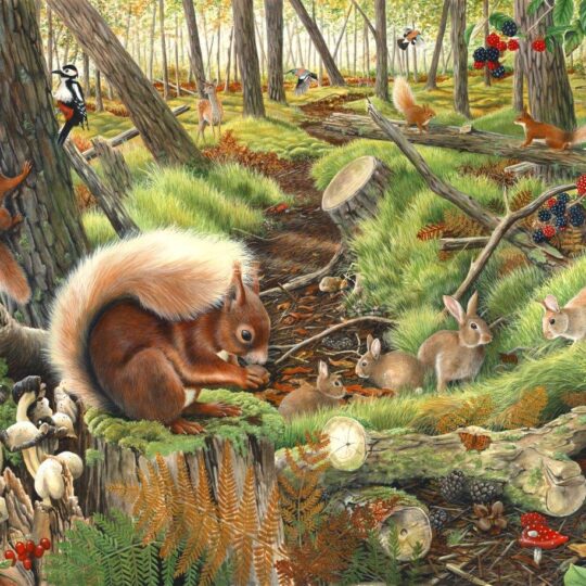 Save Our Squirrels 1000 Piece Jigsaw Puzzle by House of Puzzles - HOP0067