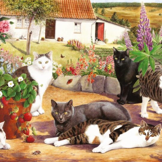 Cool Cats Big 500 Piece Jigsaw Puzzle by House of Puzzles - HOP0080