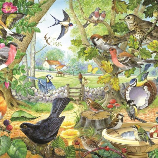 Dawn Chorus 1000 Piece Jigsaw Puzzle by House of Puzzles - HOP0141