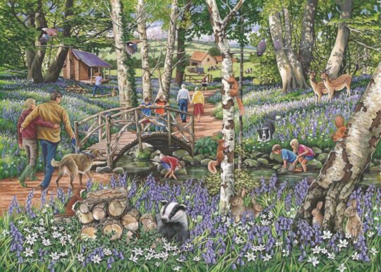 Walk In The Woods 1000 Piece Jigsaw Puzzle by House of Puzzles - HOP0200