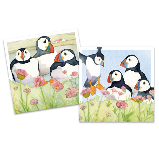 Sea Thrift Puffins Mini Card Pack by Emma Ball - MCP94