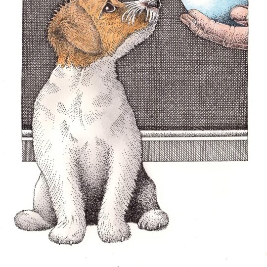 Never Knowingly Underfed Greetings Card by Simon Drew - 875