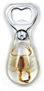 Insect Scorpion Clear Bottle Opener by World of Insects - KP4S01