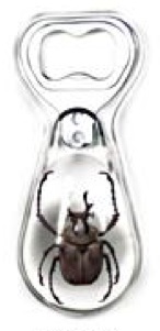 Insect Antler Horned Beetle Clear Bottle Opener by World of Insects - KP4S10