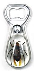 Insect Wasp Clear Bottle Opener by World of Insects - KP4S30
