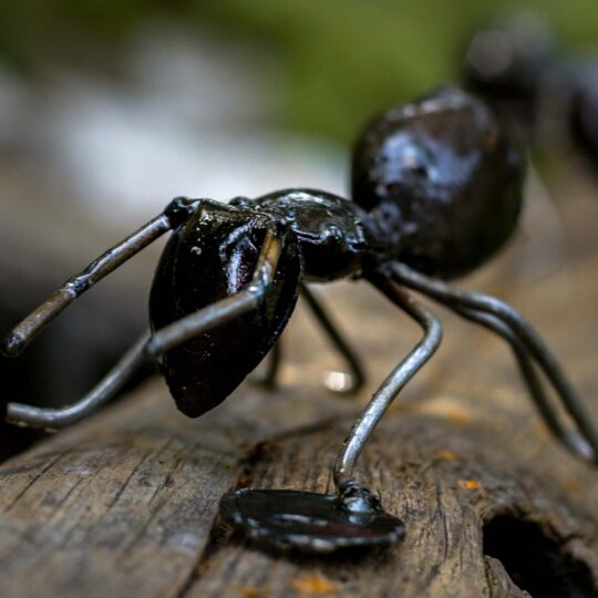 Ant Metal Garden Sculpture by Chi-Africa - WA005