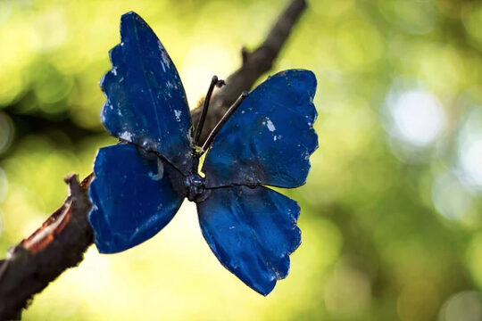 Blue Butterfly on Wall Metal Garden Sculpture by Chi-Africa - WA010