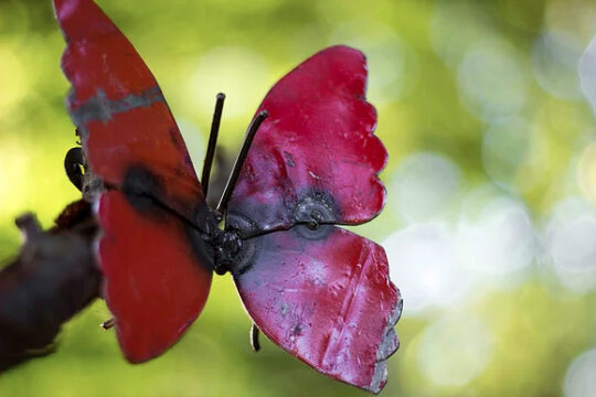 Red Butterfly on Wall Metal Garden Sculpture by Chi-Africa - WA012