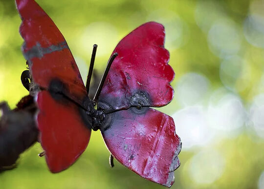 Red Butterfly on Wall Metal Garden Sculpture by Chi-Africa - WA012
