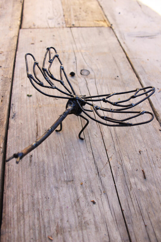 Lace Wing Dragonfly On Wall Metal Garden Sculpture by Chi-Africa - WA015