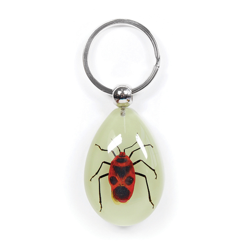Insect Milkweed Beetle Glow Keyring by World of Insects - YK0944