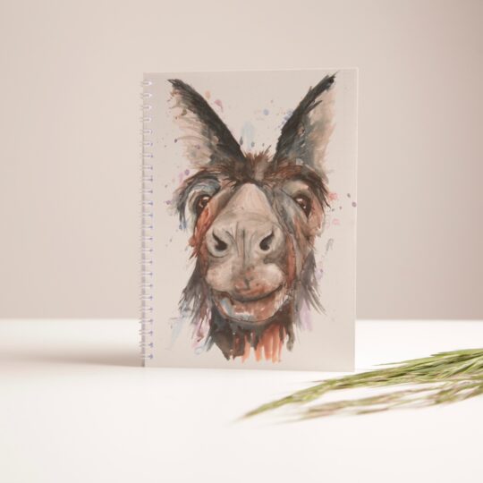 Donkey A5 Notebook by Meg Hawkins - NB5034